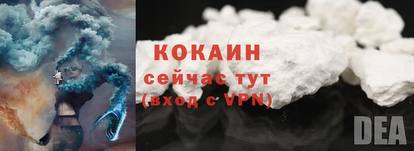 гидра Белоозёрский