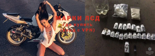дживик Беломорск
