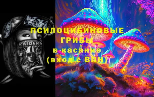 гидра Белоозёрский