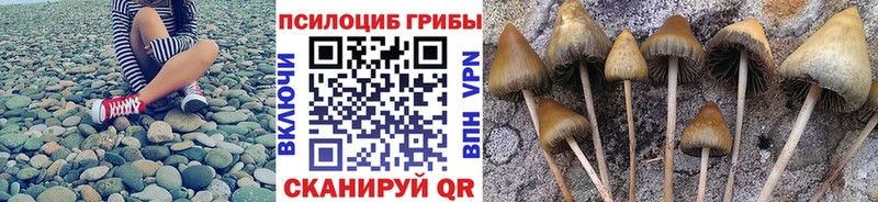 Галлюциногенные грибы Cubensis  сколько стоит  Верхний Уфалей 